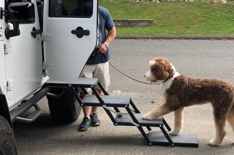 pet ramps and steps 