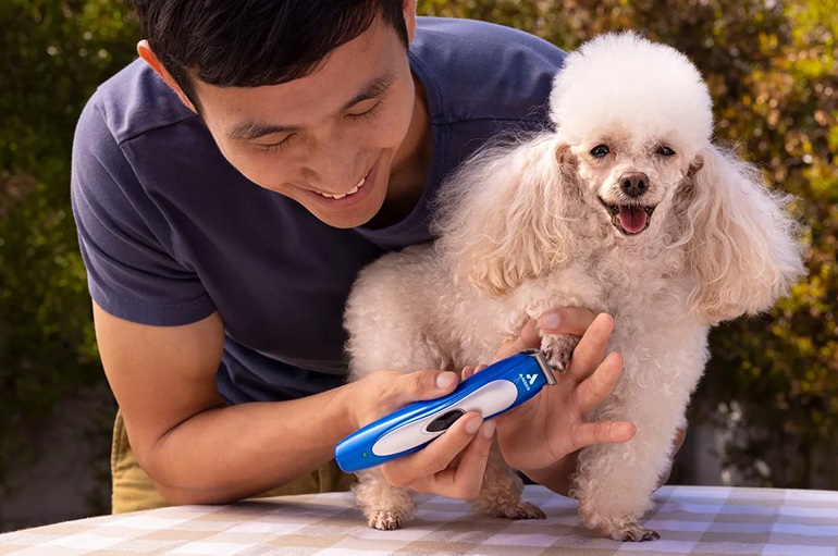 a person grooming a dog with well-designed cordless hair clippers