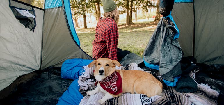 girl camping with her dog