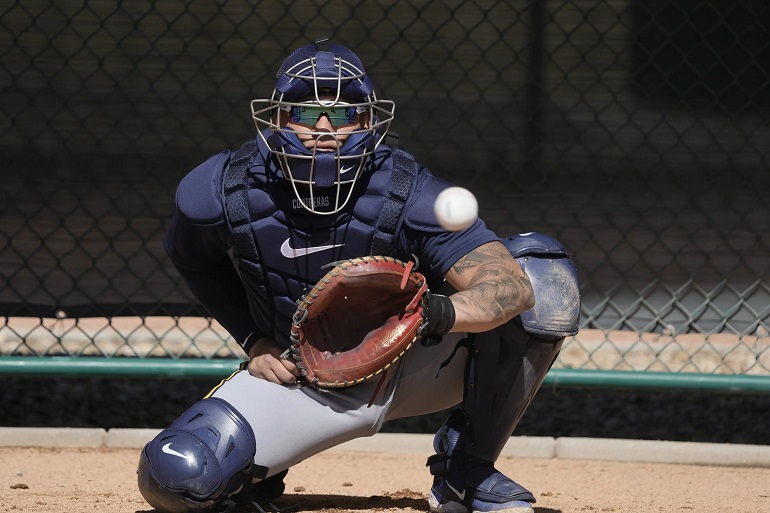 baseball protective gear